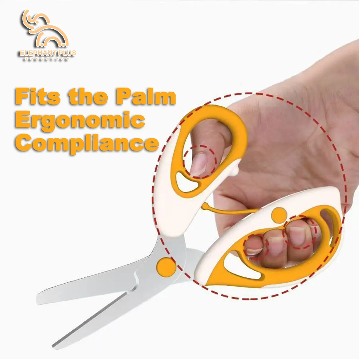Baby Food Scissors｜Portable Fo - Baby Food Scissors ulasan dan harga